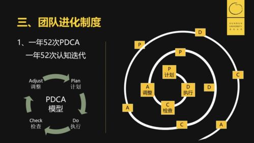 互联网医疗内容产品的销售策略 以专业与信任驱动市场增长